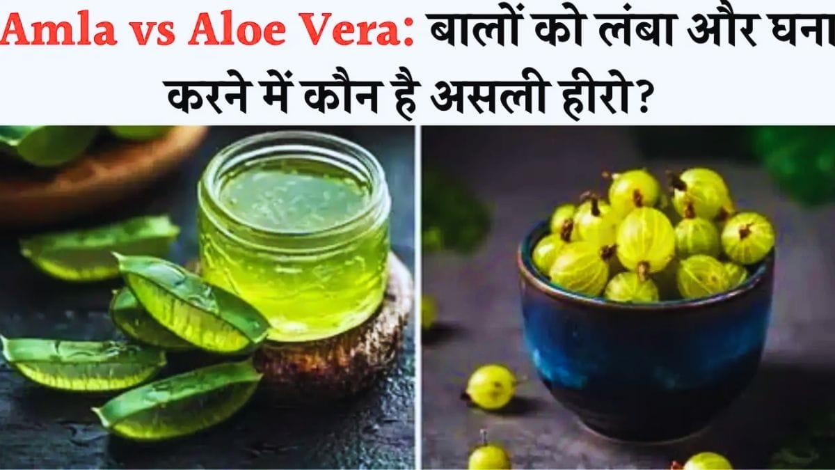 Amla vs Aloe Vera