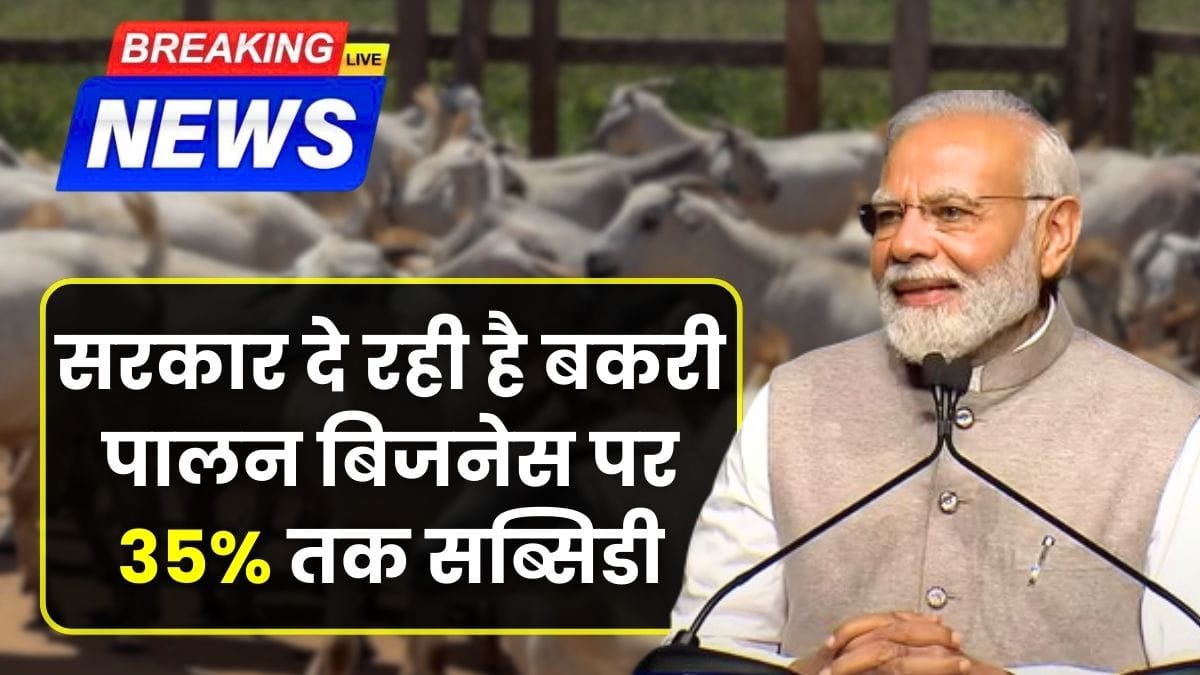 Goat Farming Business Loan in India