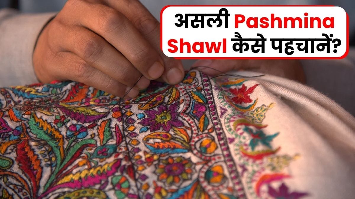 Pashmina Shawl